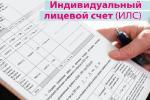 Какая информация содержится в выписке о состоянии индивидуального лицевого счета (ИЛС)