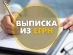 Как получить сведения, содержащиеся в ЕГРН?