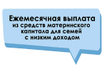 Ежемесячную выплату из материнского капитала получают 280 тысяч семей