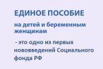 С 1 января 2023 года в России начнет работу Социальный фонд, который объединит Пенсионный фонд и Фонд социального страхования.