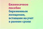 225 тыс. женщин оформили пособие по беременности после изменений в правилах оценки нуждаемости