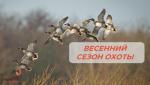 весенняя охота